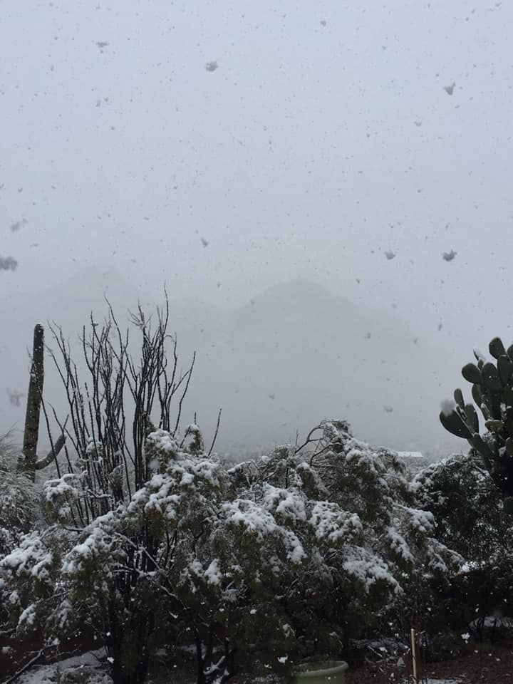 Snow in Tucson